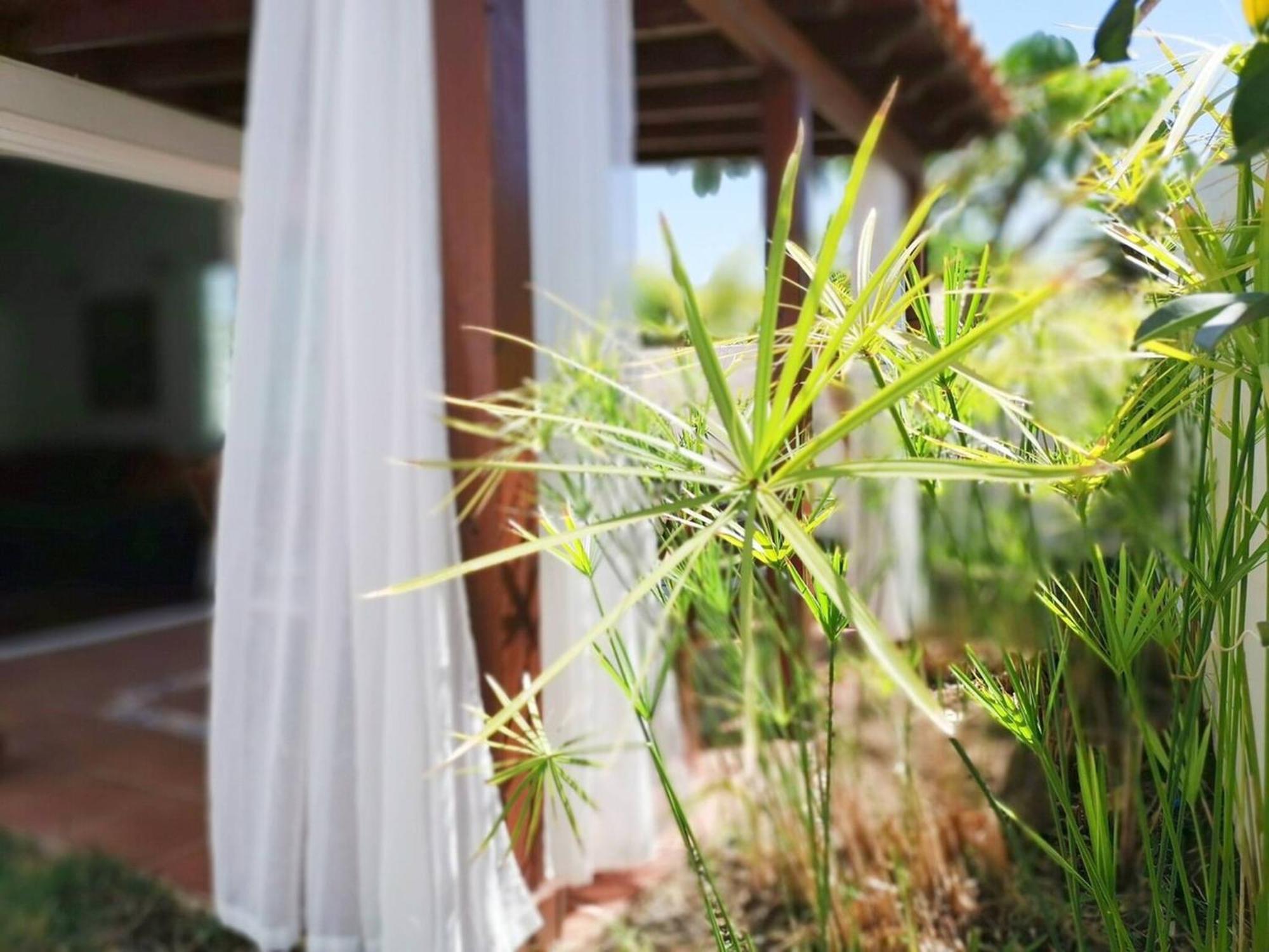 Los Porches D40 By Pride Holiday Rentals San Bartolomé Екстериор снимка